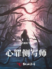 心罪侧写师
