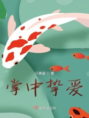 掌中挚爱